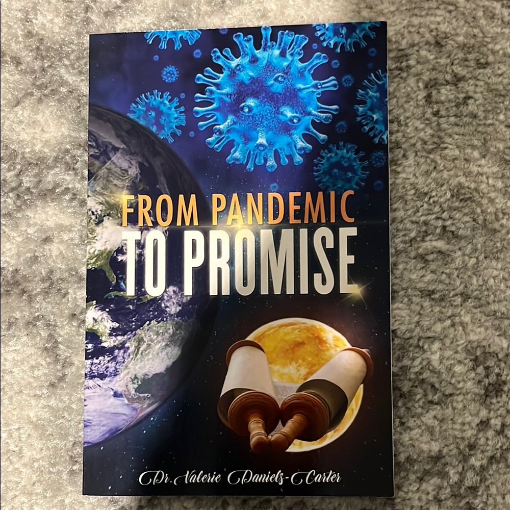 From Pandemic to Promise Book